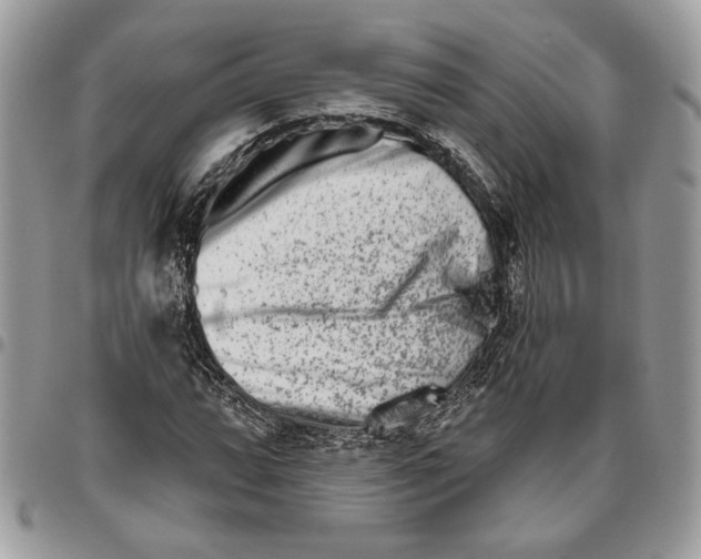 X0000095881064200802081049