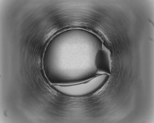 X0000095881065200802081049