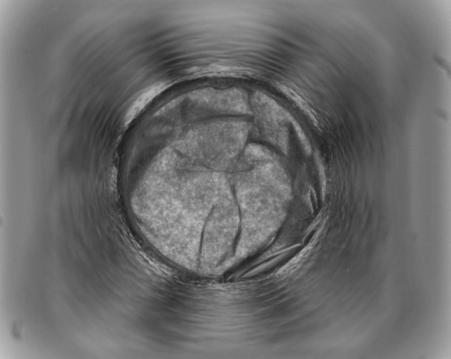 X0000095881066200802081049