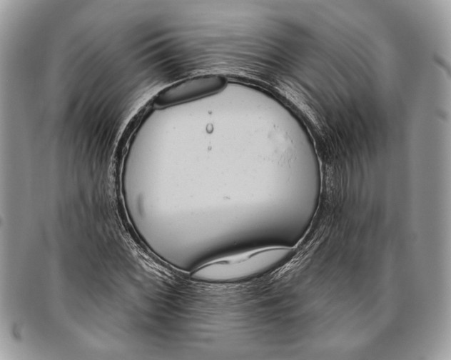 X0000095881068200802081049