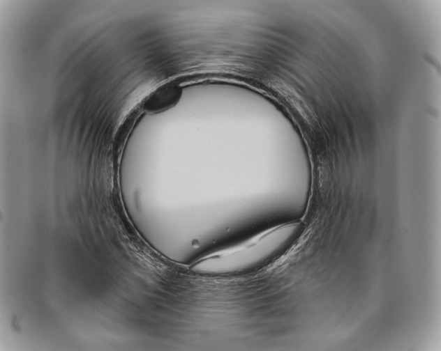 X0000095881069200802081049