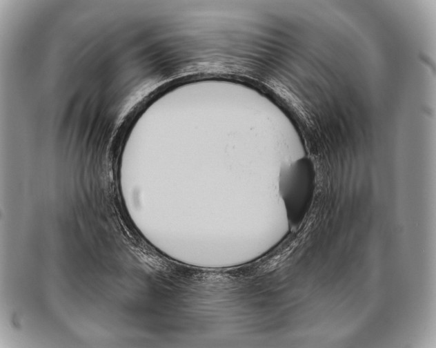 X0000095881070200802081049