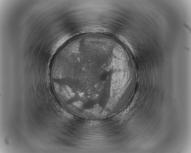 X0000095881071200802081049