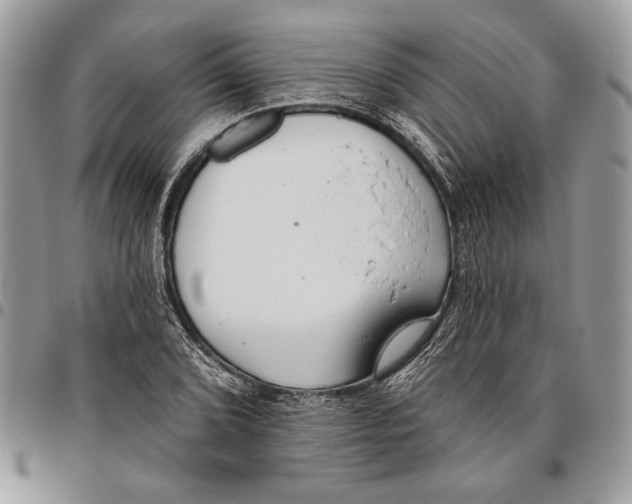 X0000095881072200802081049