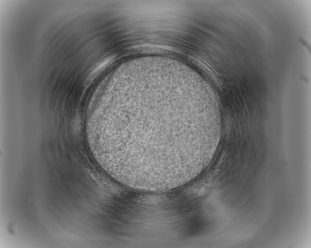 X0000095881074200802081049