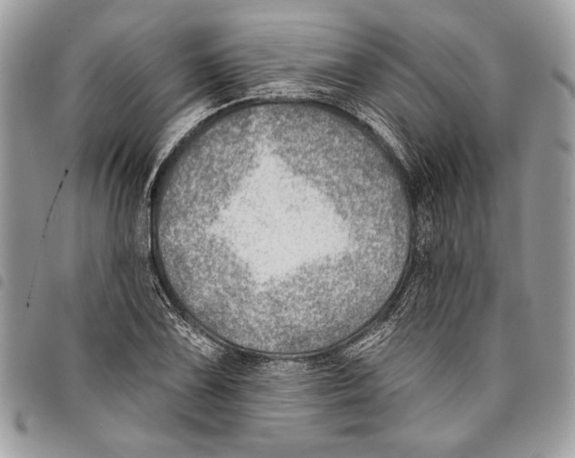 X0000095881075200802081049