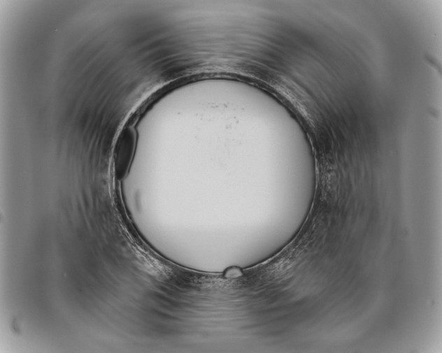 X0000095881076200802081049