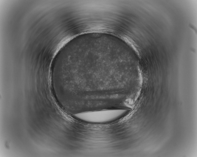 X0000095881077200802081049