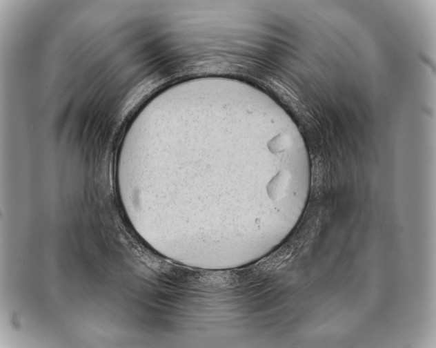 X0000095881078200802081049