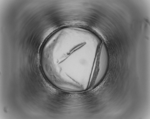 X0000095881079200802081049