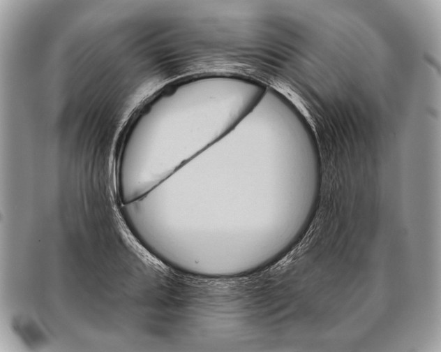 X0000095881080200802081049