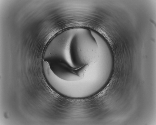 X0000095881081200802081049