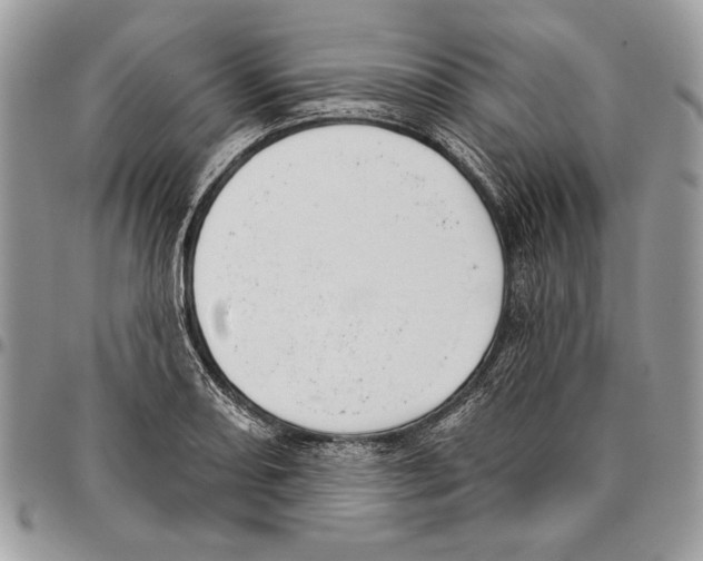 X0000095881082200802081049