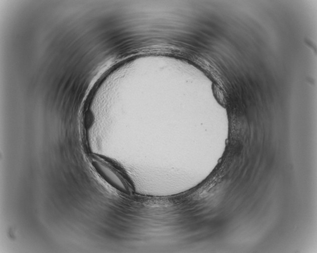 X0000095881083200802081049