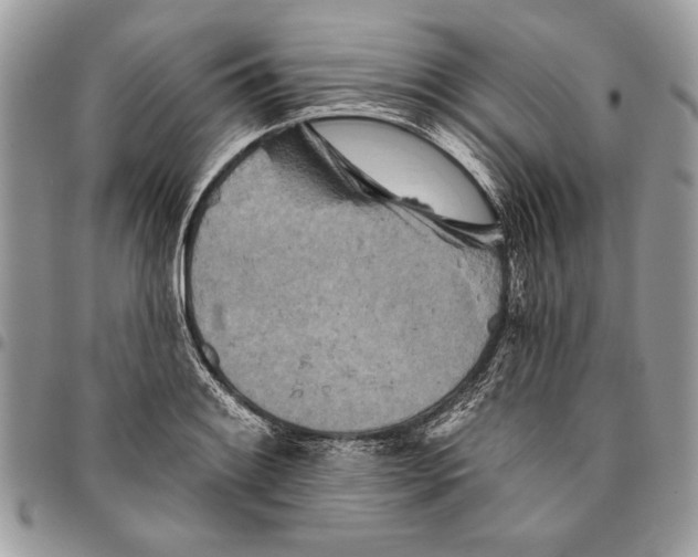 X0000095881084200802081049