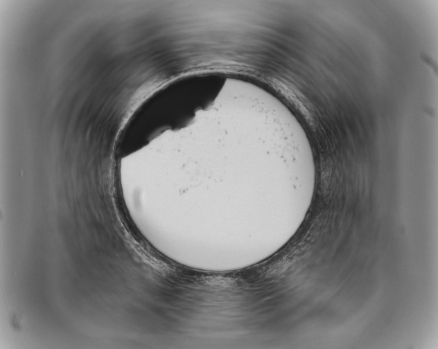 X0000095881085200802081049