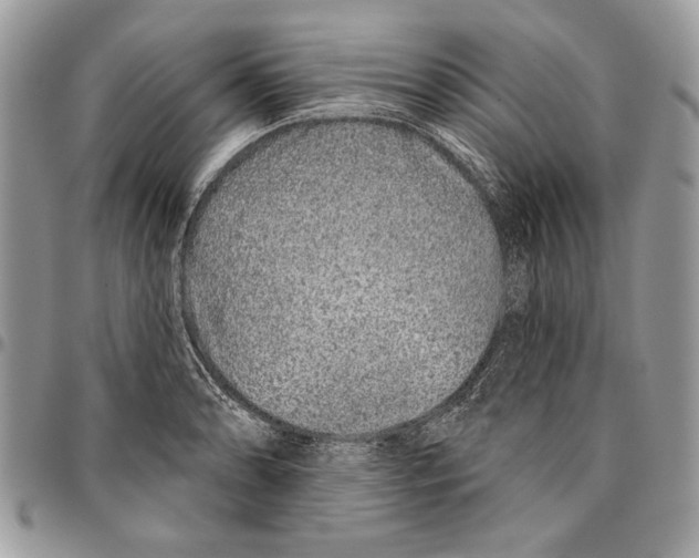 X0000095881086200802081049