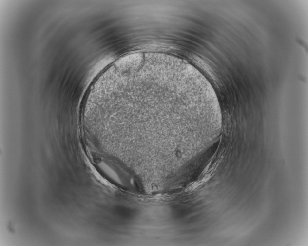 X0000095881087200802081049