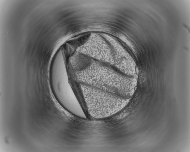 X0000095881088200802081049