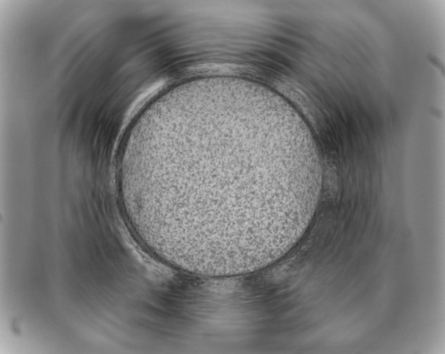 X0000095881090200802081049