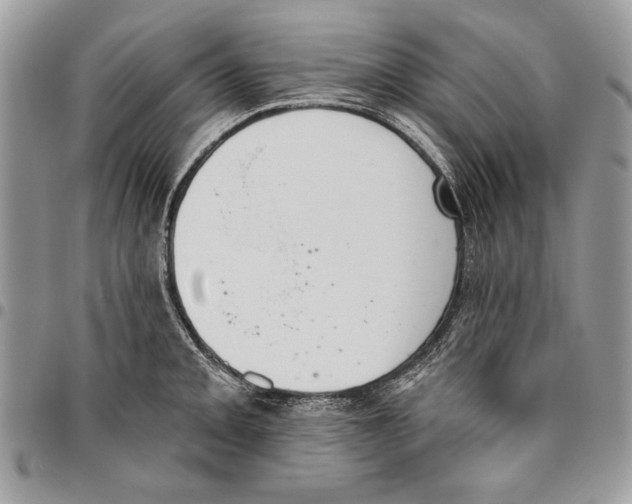 X0000095881093200802081049