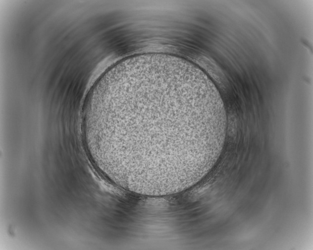 X0000095881094200802081049