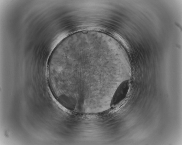 X0000095881095200802081049