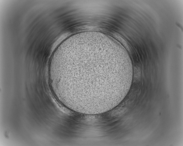 X0000095881098200802081049