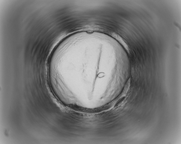 X0000095881099200802081049