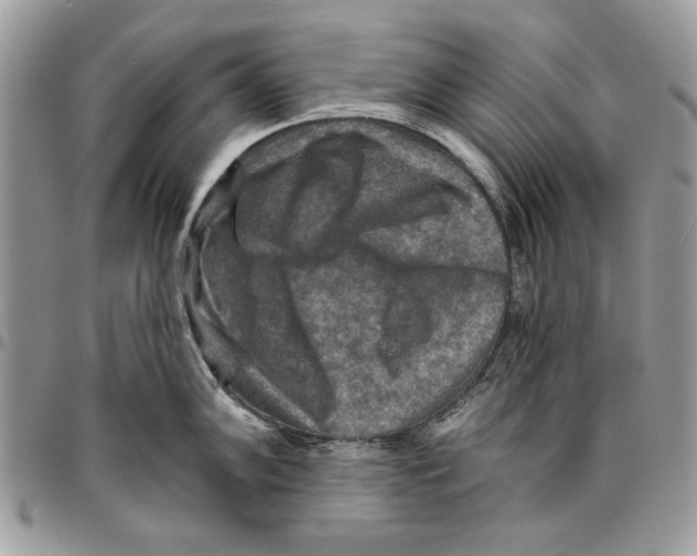 X0000095881102200802081049