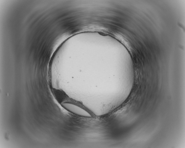 X0000095881103200802081049