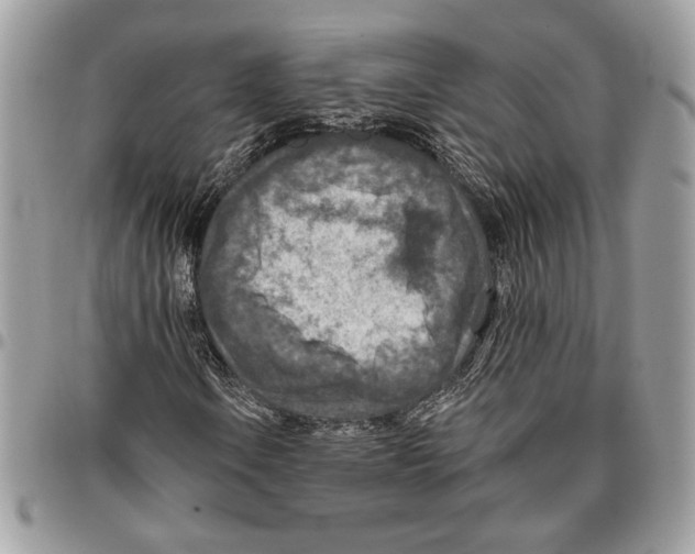 X0000095881106200802081048