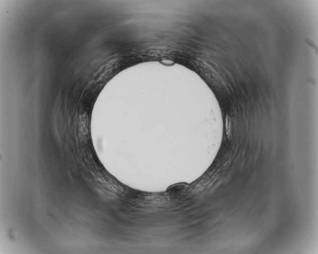 X0000095881107200802081048