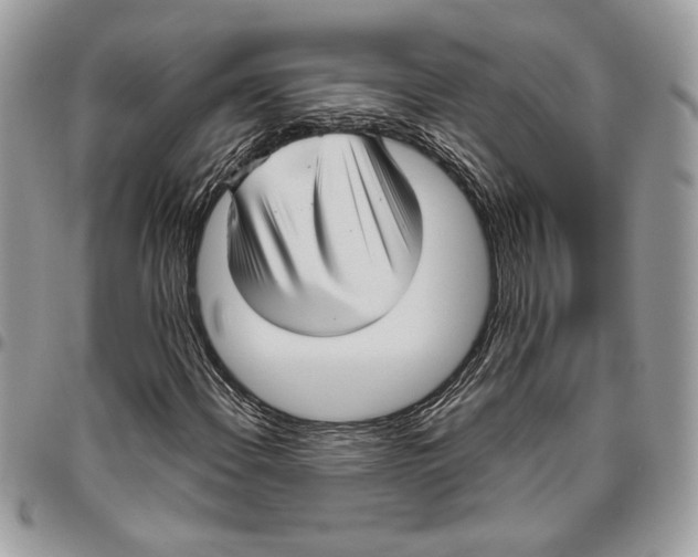 X0000095881108200802081048