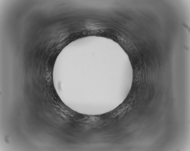 X0000095881109200802081048