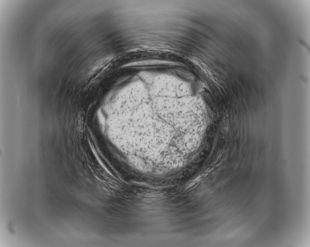 X0000095881110200802081048