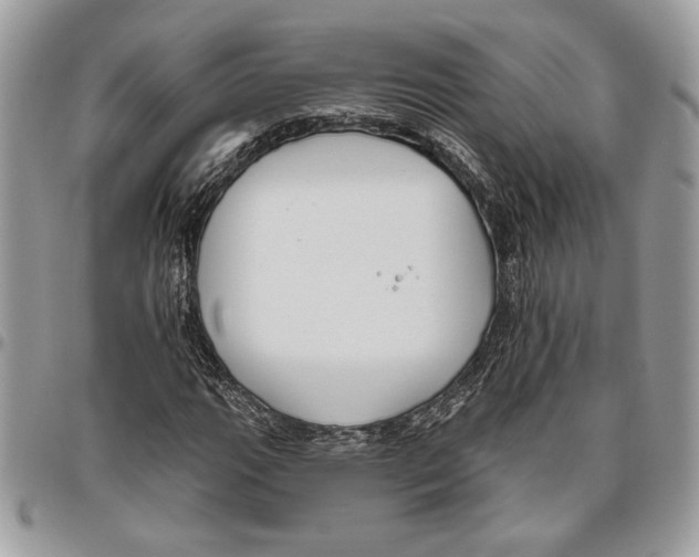 X0000095881111200802081048