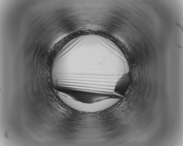 X0000095881112200802081048