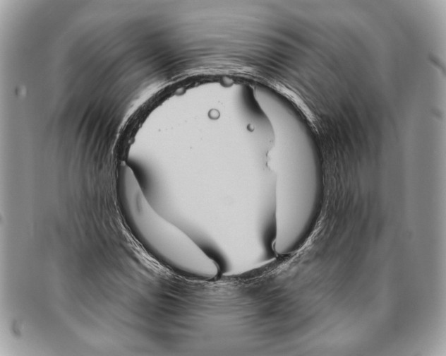 X0000095881114200802081048