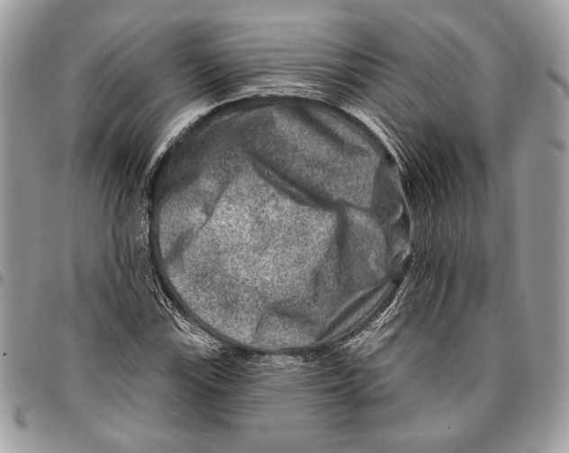 X0000095881115200802081048