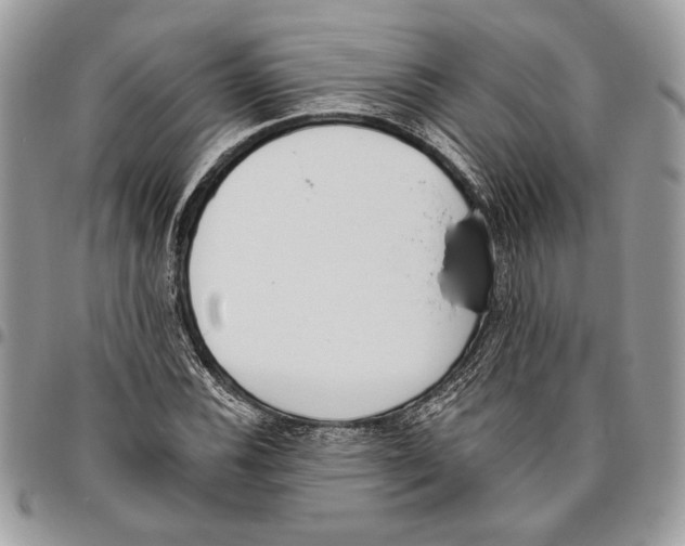 X0000095881116200802081048