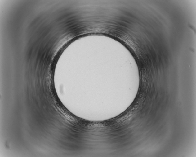 X0000095881119200802081048