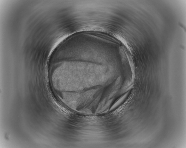 X0000095881120200802081048