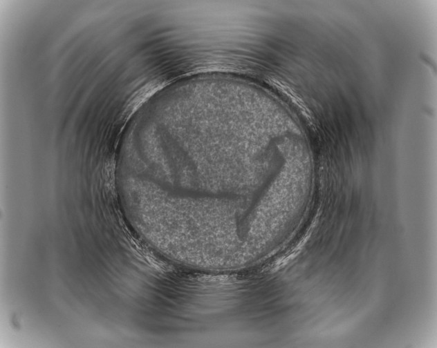 X0000095881121200802081048