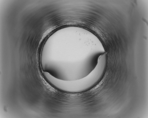 X0000095881122200802081048