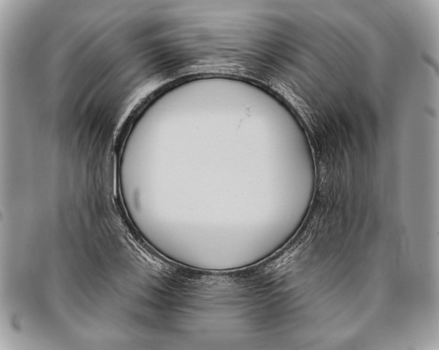 X0000095881123200802081048