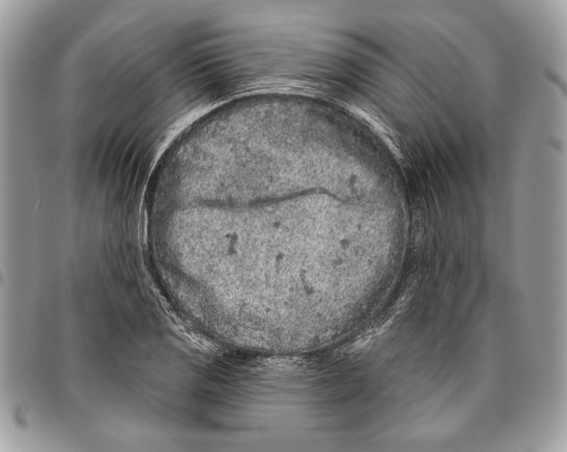 X0000095881125200802081048