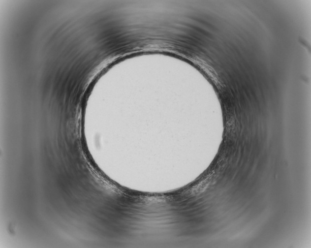 X0000095881126200802081048