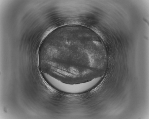 X0000095881127200802081048