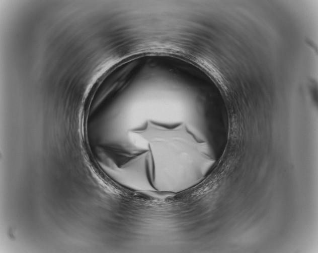 X0000095881128200802081048